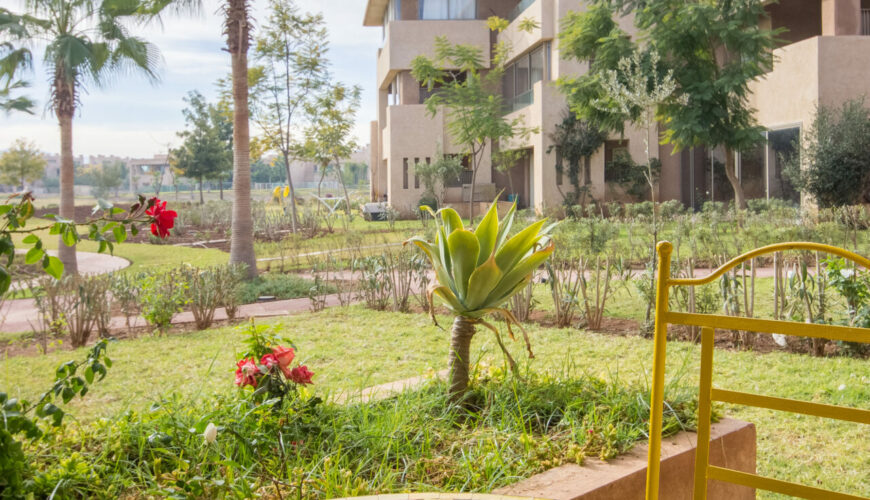 Riad Rental Management Marrakech